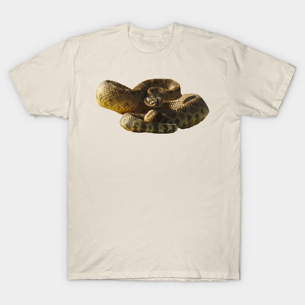 Rattlesnake, Reptiles, wildlife, gifts, Deadly Silence T-Shirt by sandyo2ly